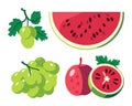 Set of various fresh fruits. Green grapes bunch, half watermelon, whole guava, split guava with visible seeds vector