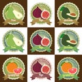 Set of various fresh fruits premium quality tag label badge sticker and logo design