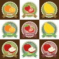 Set of various fresh fruits premium quality tag label badge sticker