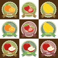 Set of various fresh fruits premium quality tag label badge sticker and logo design in vector