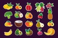 set various fresh juicy fruits collection healthy natural food concept horizontal Royalty Free Stock Photo