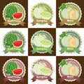 Set of various fresh melon fruit premium quality tag label badge sticker and logo design in vector
