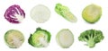 Set of various fresh ripe cabbages on background. Banner design Royalty Free Stock Photo