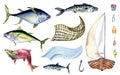 Set of various fresh sea fish watercolor illustration isolated on white. Fishing boat and mackerel, salmon, tuna, trout