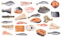 Set of various frozen fishes and steaks isolated Royalty Free Stock Photo