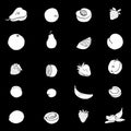 Set of various fruit icons