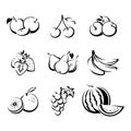 Set of various fruit. Vector black and white contour drawing.