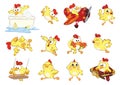 Set of Cute Chickens in Different Poses for you Design. Cartoon Character Royalty Free Stock Photo