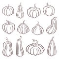 Set of various hand drawn pumpkin in line art style. Autumn sketch for Halloween, Thanksgiving design elements. Vector Royalty Free Stock Photo