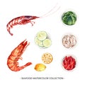 Set of various isolated seafood watercolor illustration for decorative use