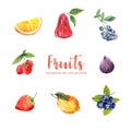 Set of various isolated watercolor fruit illustration on white background