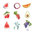 Set of various isolated watercolor fruits illustration on white background Royalty Free Stock Photo