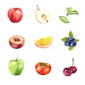 Set of various isolated, watercolor and hand drawn fruits illustration on white background Royalty Free Stock Photo