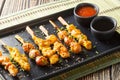 Set of various Japanese yakitori skewers served with two sauces close-up on a plate. Horizontal Royalty Free Stock Photo
