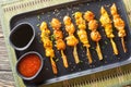 Set of various Japanese yakitori skewers served with two sauces close-up on a plate. Horizontal top view Royalty Free Stock Photo