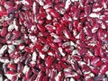 A set of various kidney beans