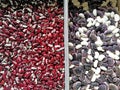 A set of various kidney beans