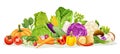 Set of various kinds of vegetable illustrations Royalty Free Stock Photo