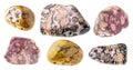 Set of various leopard skin jasper, jaguar stones