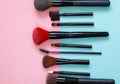 Set of various makeup brushes Royalty Free Stock Photo