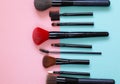 Set of various makeup brushes