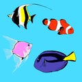 Set of various marine, tropical fish. Royalty Free Stock Photo