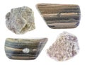 Set of various marl shale marlstone stone cutout