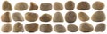 Set of various natural pebble stones