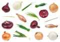 Set of various onion herbs and vegetables isolated Royalty Free Stock Photo
