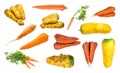 Set of various organic carrot taproots isolated