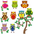 Set of various ornamental colorful owls