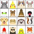 Set of various pet animals face