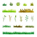 Set of Various Plant Elements Grass, Bushes, Stems, Watercolor Hand Drawn and Painted Royalty Free Stock Photo