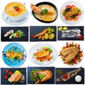 Set of various plates of fish food