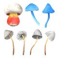 Set various poisonous mushroom. Satanic red boletus, gray and blue toadstool mushrooms. Watercolor hand drawn