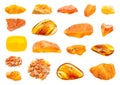 Set of various polished Amber gemstonse isolated