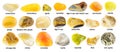 Set of various polished yellow stones with names Royalty Free Stock Photo