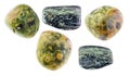 Set of various rainforest jasper stones on white