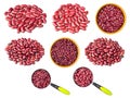 Set of various red kidney beans cutout on white Royalty Free Stock Photo