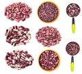 Set of various red speckled beans cutout on white Royalty Free Stock Photo