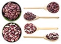 Set of various red speckled beans isolated