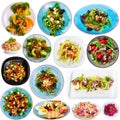 Set of various salads isolated Royalty Free Stock Photo