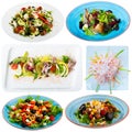 Set of various salads isolated Royalty Free Stock Photo