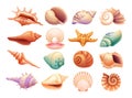 Set of various seashells illustration