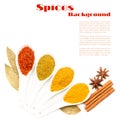 Set of various spices isolated on white background. Royalty Free Stock Photo