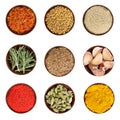 Set of various spices isolated on white. Royalty Free Stock Photo