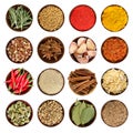 Set of various spices isolated on white. Royalty Free Stock Photo