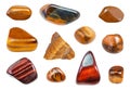 Set of various Tiger`s eye gemstones isolated Royalty Free Stock Photo