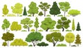 Set of various trees and shrubs, conifers and deciduous plants on a white background. Vector illustration Royalty Free Stock Photo