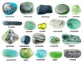 Set of various tumbled green rocks with names